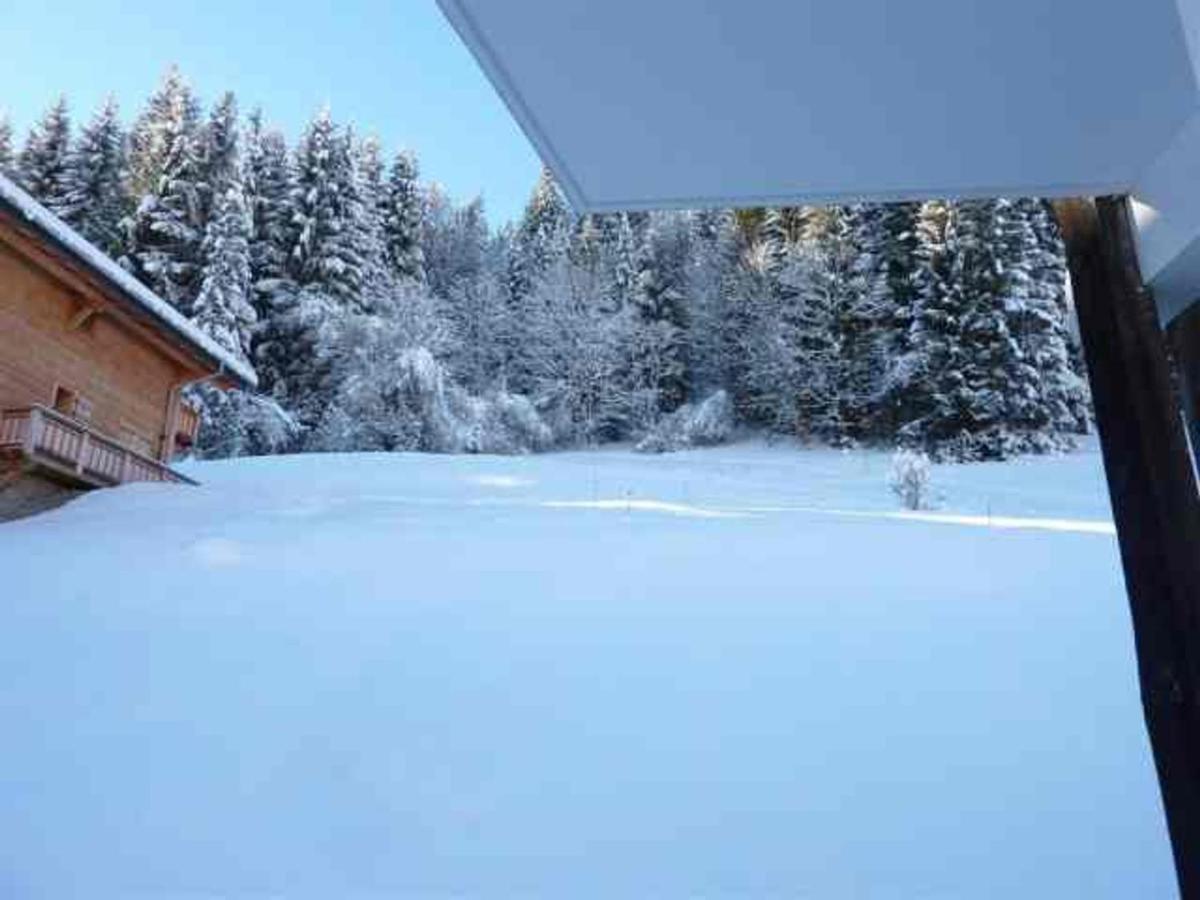 Appartement Morzine, 3 pièces, 6 personnes - FR-1-524-34 Esterno foto